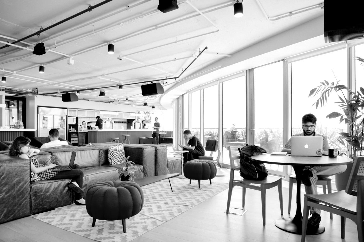 How Daily Team Meditation Reduced Our Startup Velocity by 31 Percent